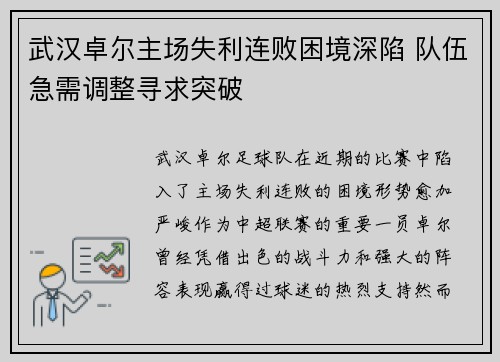 武汉卓尔主场失利连败困境深陷 队伍急需调整寻求突破